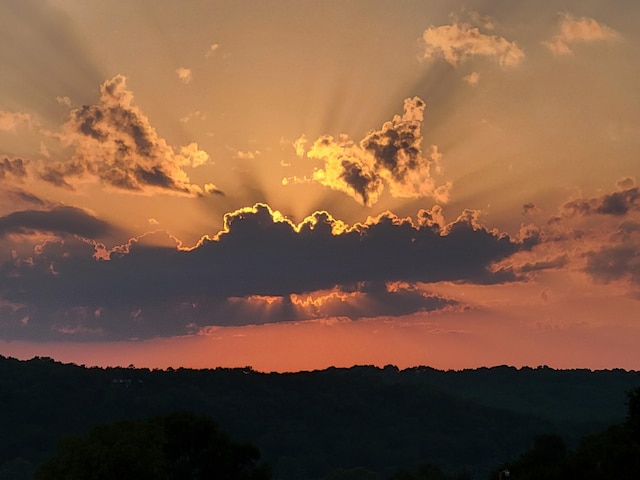 150 Sunken Forest Dr Unit 190, Forsyth, MO 65653 - view of mountain backdrop