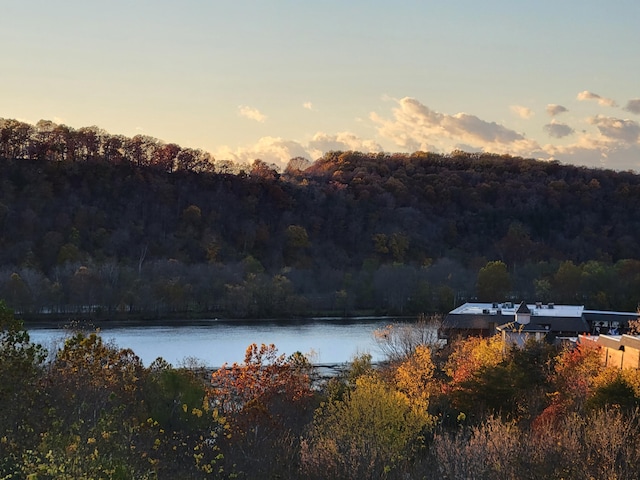 150 Sunken Forest Dr Unit 190, Forsyth, MO 65653 - water view with a heavily wooded area