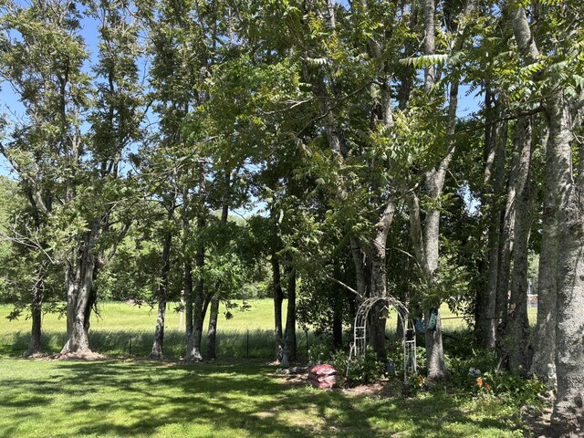 348 Holt Springs Rd, Marionville, MO 65705 - photo 9