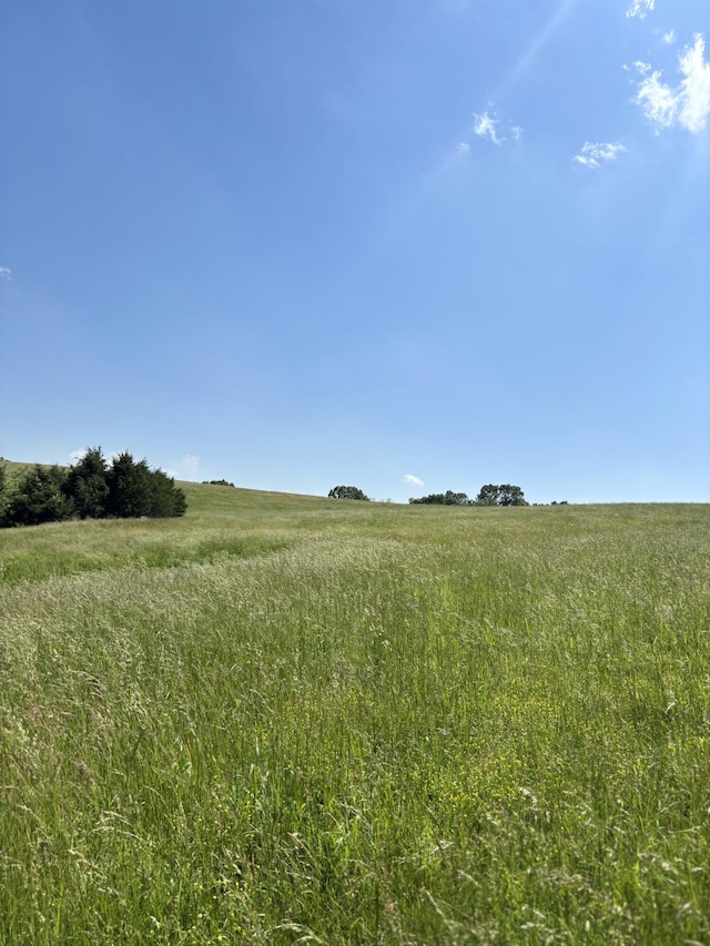 348 Holt Springs Rd, Marionville, MO 65705 - photo 36
