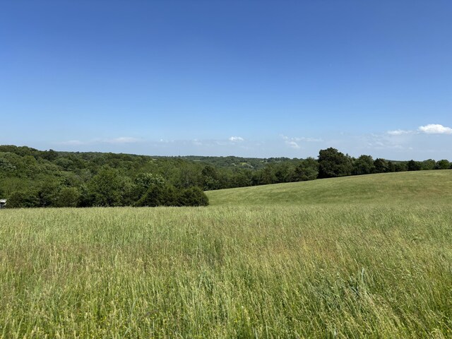 348 Holt Springs Rd, Marionville, MO 65705 - photo 37