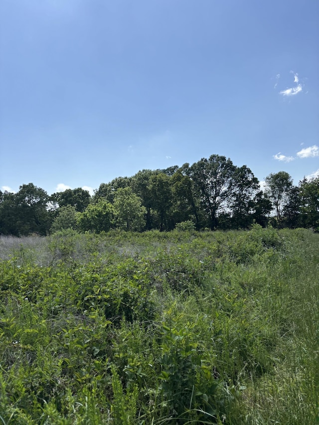 348 Holt Springs Rd, Marionville, MO 65705 - photo 41