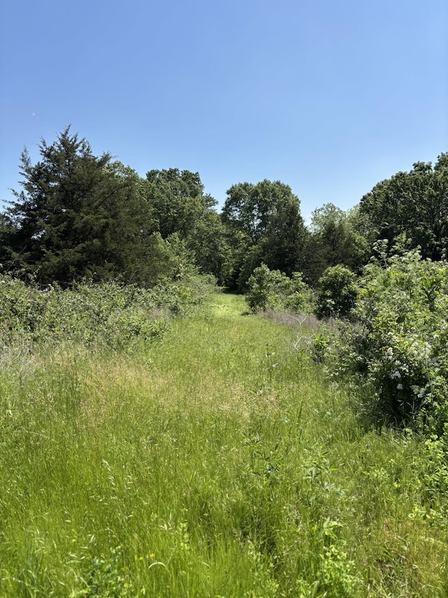 348 Holt Springs Rd, Marionville, MO 65705 - photo 42