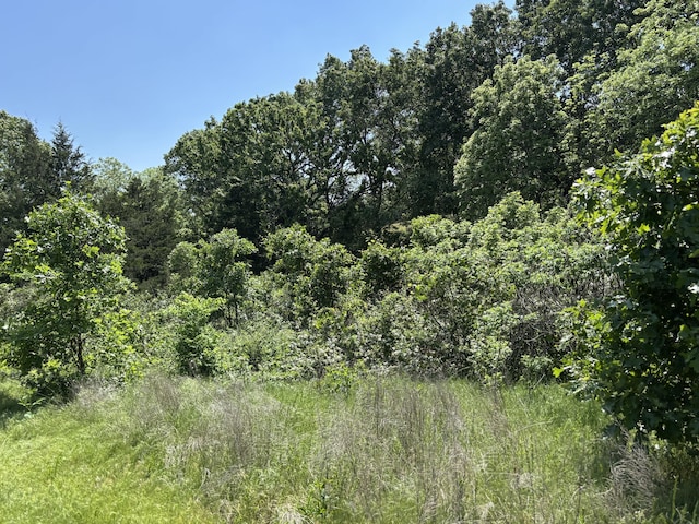 348 Holt Springs Rd, Marionville, MO 65705 - photo 43