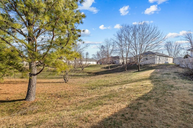 805 S Benson Pl, Nixa, MO 65714 - view of grassy yard