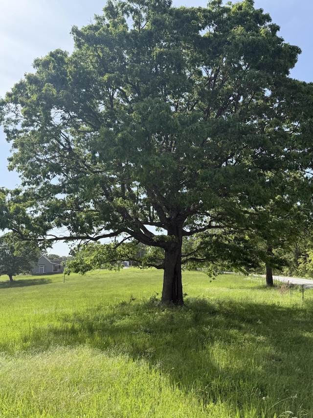 000 Tower Rd, Marshfield, MO 65706