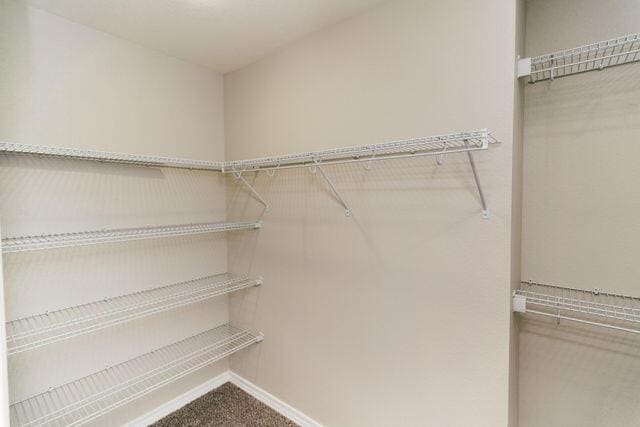 1205 N 12th Ave, Ozark, MO 65721 - spacious closet with carpet flooring