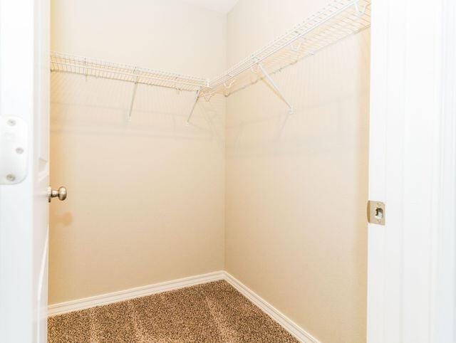 1205 N 12th Ave, Ozark, MO 65721 - walk in closet featuring carpet floors