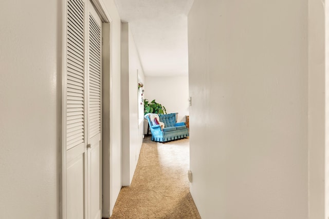 3152 Two Rivers Rd, Highlandville, MO 65669 - corridor featuring light colored carpet