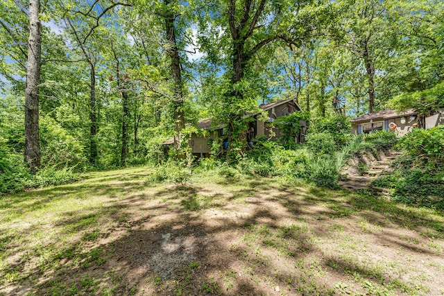 3152 Two Rivers Rd, Highlandville, MO 65669 - view of yard