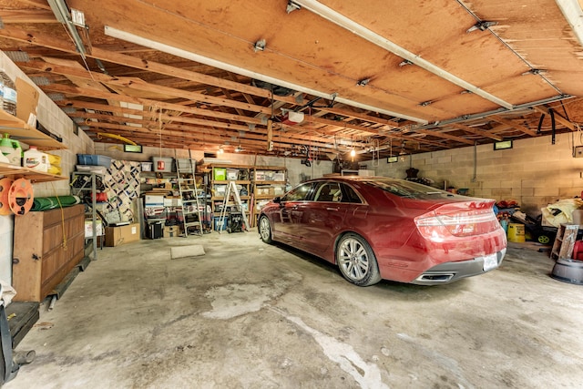 3152 Two Rivers Rd, Highlandville, MO 65669 - view of garage