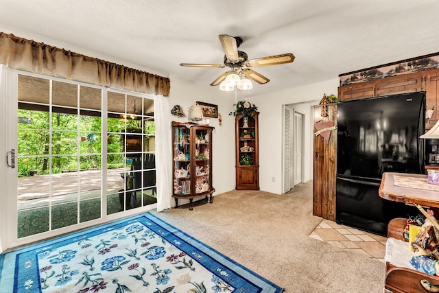 3152 Two Rivers Rd, Highlandville, MO 65669 - office with a ceiling fan and light carpet
