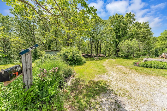 3152 Two Rivers Rd, Highlandville, MO 65669 - view of grassy yard