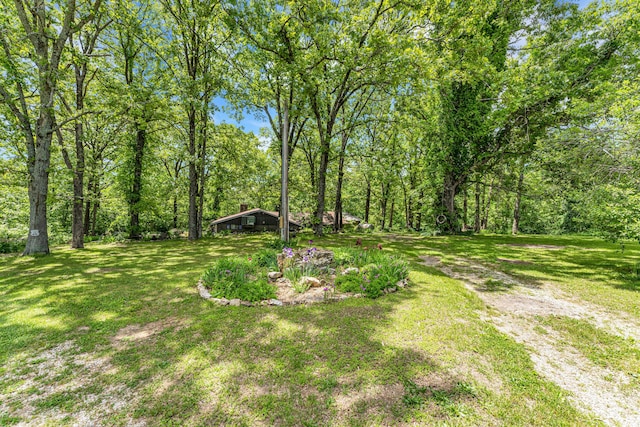 3152 Two Rivers Rd, Highlandville, MO 65669 - view of grassy yard featuring a wooded view