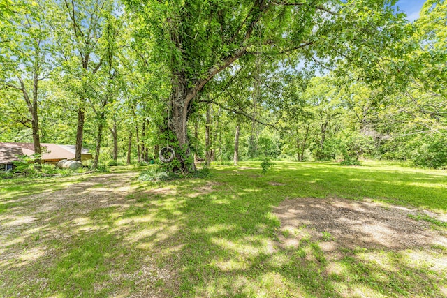 3152 Two Rivers Rd, Highlandville, MO 65669 - view of grassy yard