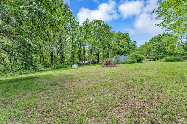 3152 Two Rivers Rd, Highlandville, MO 65669 - view of green lawn