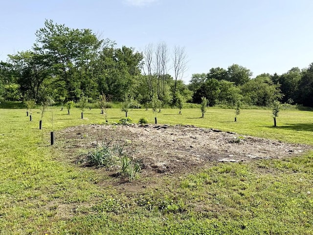 30285 E Pawhuska Rd, El Dorado Springs, MO 64744 - view of undeveloped land
