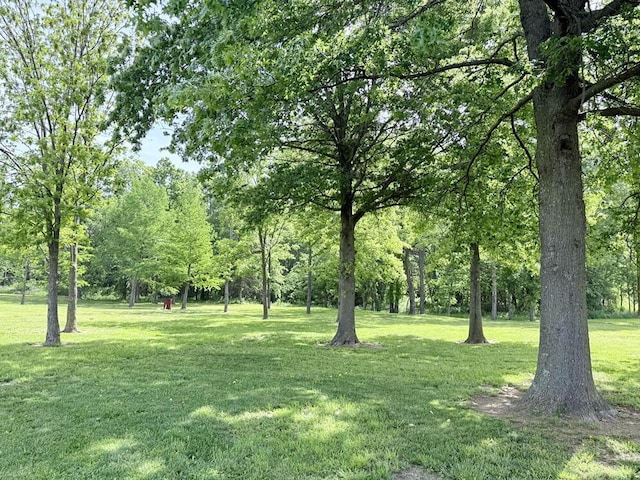 30285 E Pawhuska Rd, El Dorado Springs, MO 64744 - view of green lawn