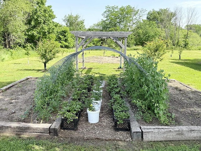 30285 E Pawhuska Rd, El Dorado Springs, MO 64744 - view of grassy yard featuring a vegetable garden