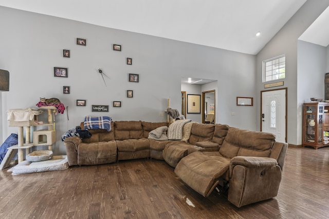 45 Stone Ridge Ct, Strafford, MO 65757 - living area with high vaulted ceiling and dark wood-type flooring