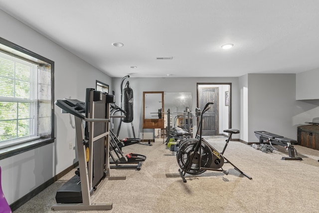45 Stone Ridge Ct, Strafford, MO 65757 - workout room featuring baseboards and carpet