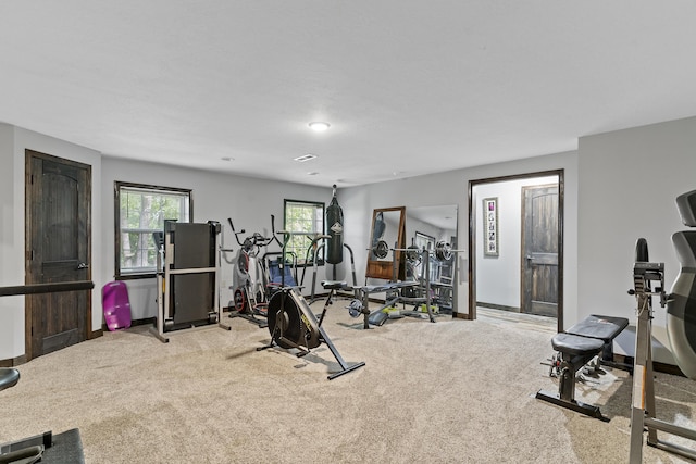 45 Stone Ridge Ct, Strafford, MO 65757 - workout room with light carpet and baseboards