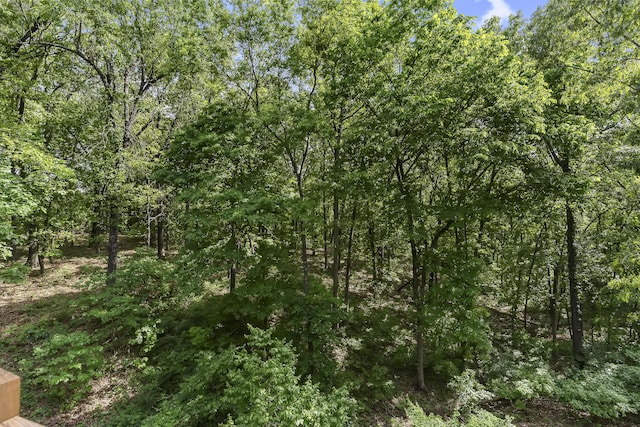 45 Stone Ridge Ct, Strafford, MO 65757 - view of tree filled area