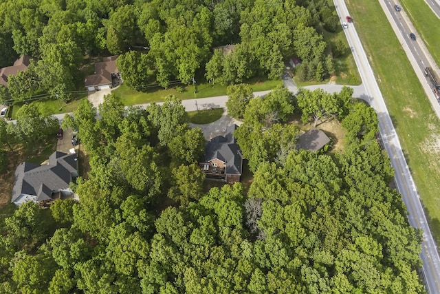 45 Stone Ridge Ct, Strafford, MO 65757 - view of property location