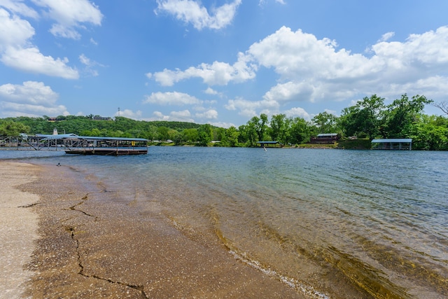 301 Lake Dr, Branson, MO 65616 - water view