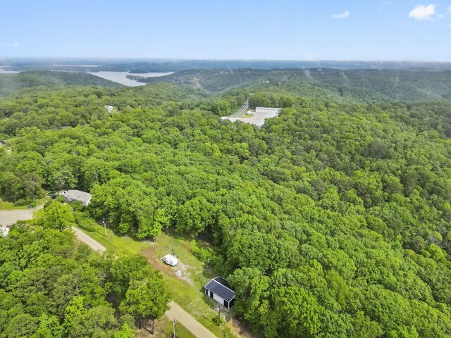 149 Rosemary Ln, Lampe, MO 65681 - photo 14