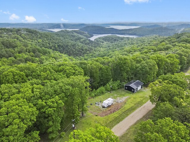 149 Rosemary Ln, Lampe, MO 65681 - photo 12