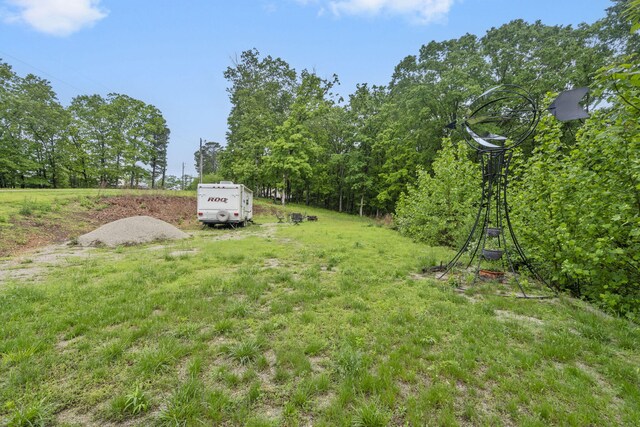 149 Rosemary Ln, Lampe, MO 65681 - photo 7