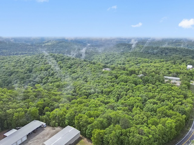 149 Rosemary Ln, Lampe, MO 65681 - photo 10