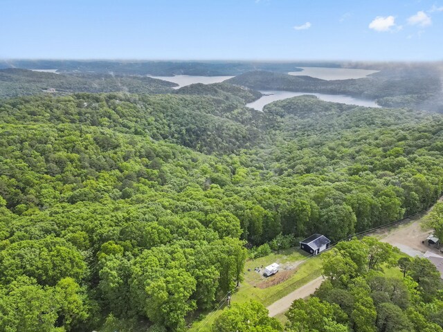 149 Rosemary Ln, Lampe, MO 65681 - photo 9
