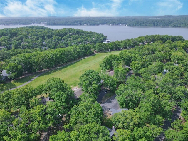 91 Moongate Dr, Osage Beach, MO 65065 - view of property location featuring a large body of water and a heavily wooded area