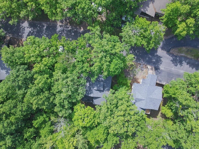 91 Moongate Dr, Osage Beach, MO 65065 - view of property location