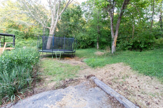 5312 S Hawthorne Dr, Springfield, MO 65804 - view of yard featuring a trampoline