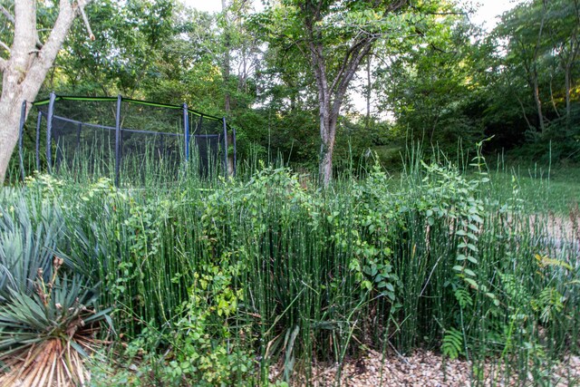 5312 S Hawthorne Dr, Springfield, MO 65804 - view of nature