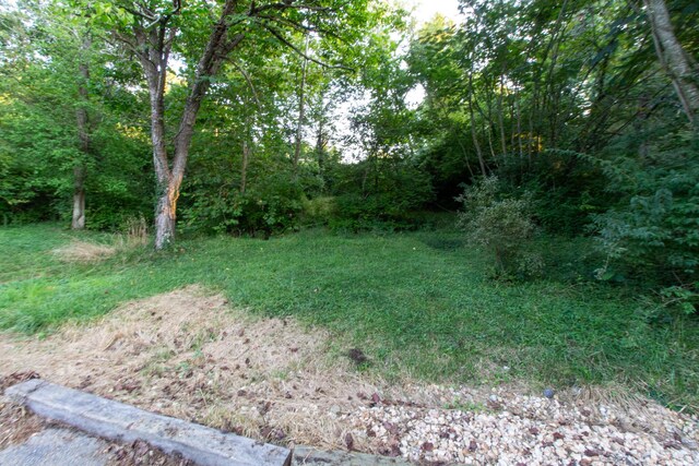 5312 S Hawthorne Dr, Springfield, MO 65804 - view of woods