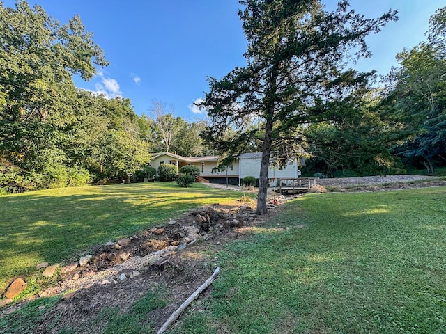 5312 S Hawthorne Dr, Springfield, MO 65804 - view of green lawn
