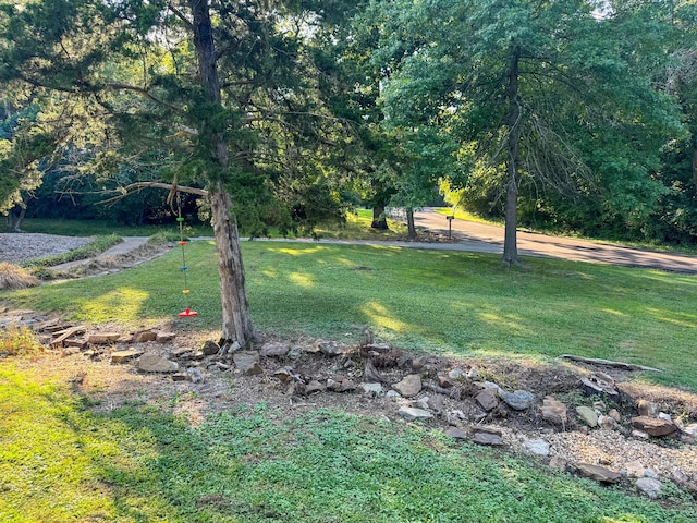5312 S Hawthorne Dr, Springfield, MO 65804 - view of green lawn