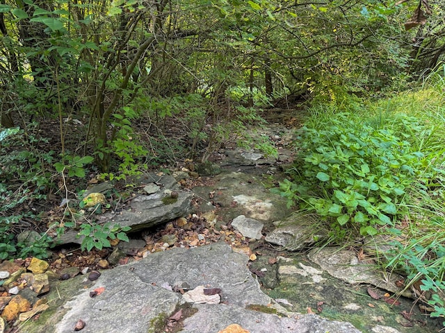 5312 S Hawthorne Dr, Springfield, MO 65804 - view of local wilderness
