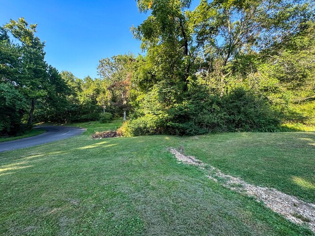 5312 S Hawthorne Dr, Springfield, MO 65804 - view of grassy yard featuring a view of trees
