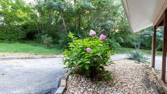5312 S Hawthorne Dr, Springfield, MO 65804 - view of yard