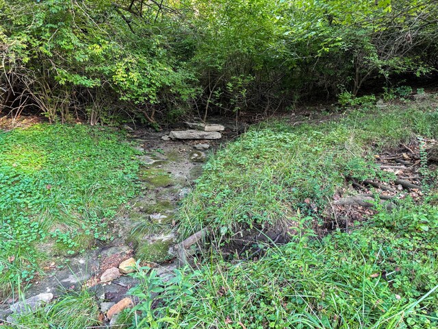 5312 S Hawthorne Dr, Springfield, MO 65804 - view of undeveloped land