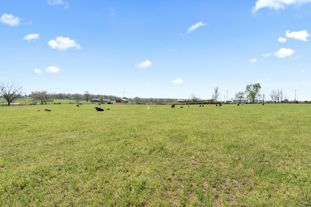 635 N Rabbit Rd, Stella, MO 64867