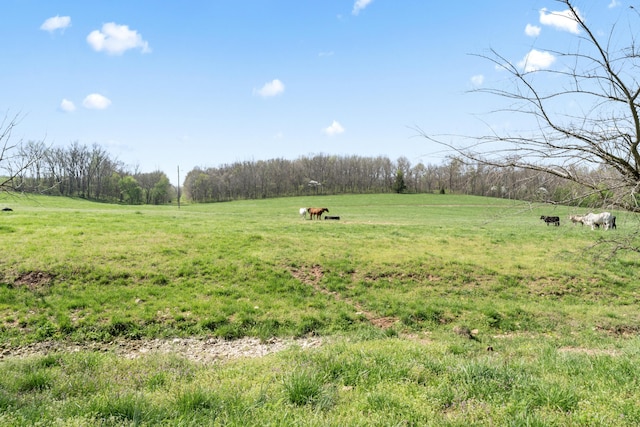 635 N Rabbit Rd, Stella, MO 64867