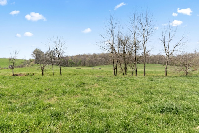 635 N Rabbit Rd, Stella, MO 64867