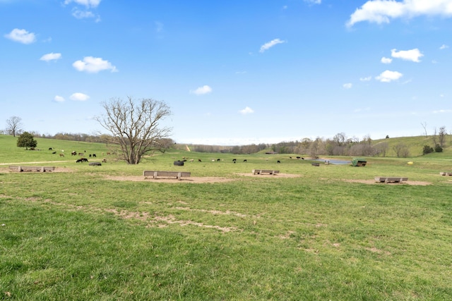 635 N Rabbit Rd, Stella, MO 64867