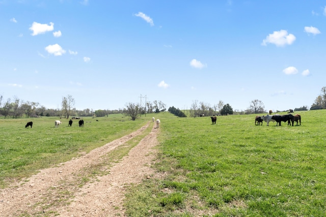 635 N Rabbit Rd, Stella, MO 64867